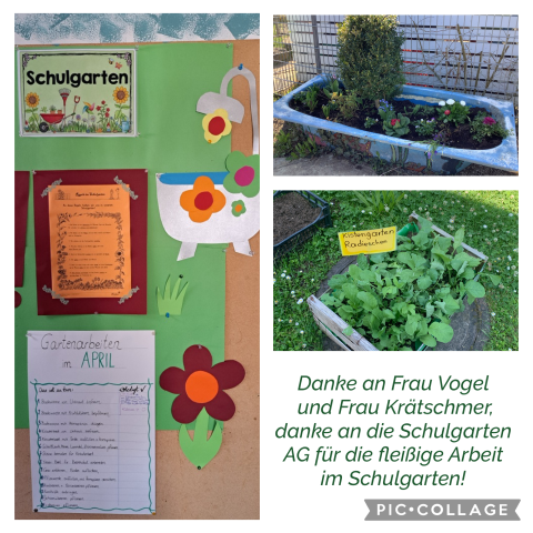 Schulgarten 2025 01