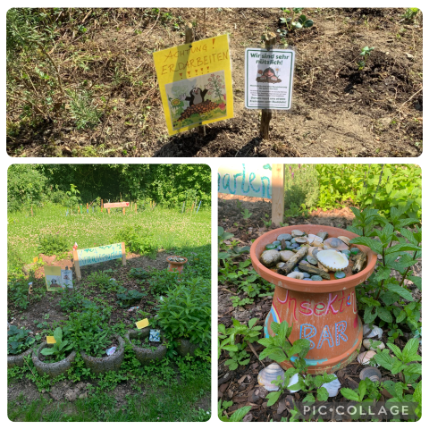 Schulgarten Frühling 2025 2