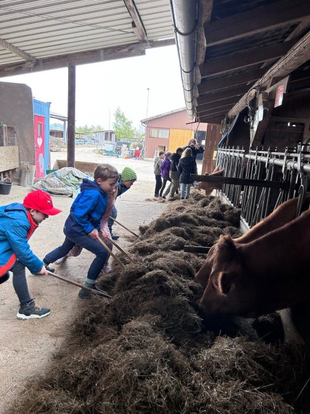 Krainbachhof 14.4.2026