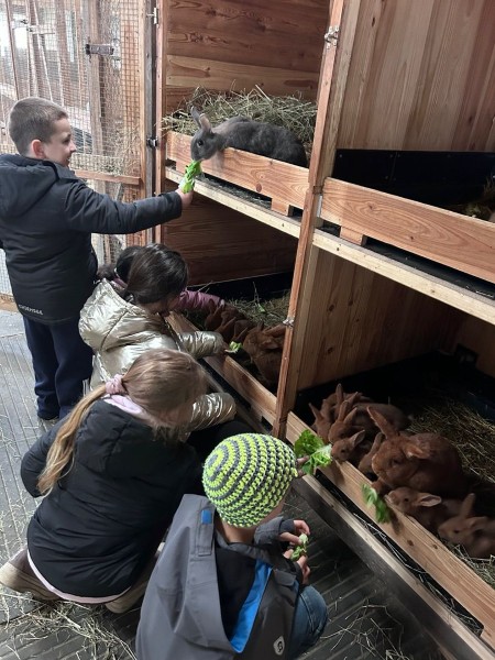 Krainbachhof 14.4.2026