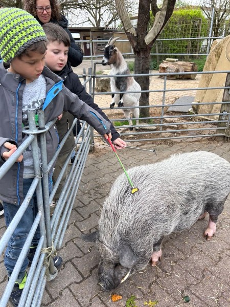 Krainbachhof 14.4.2026